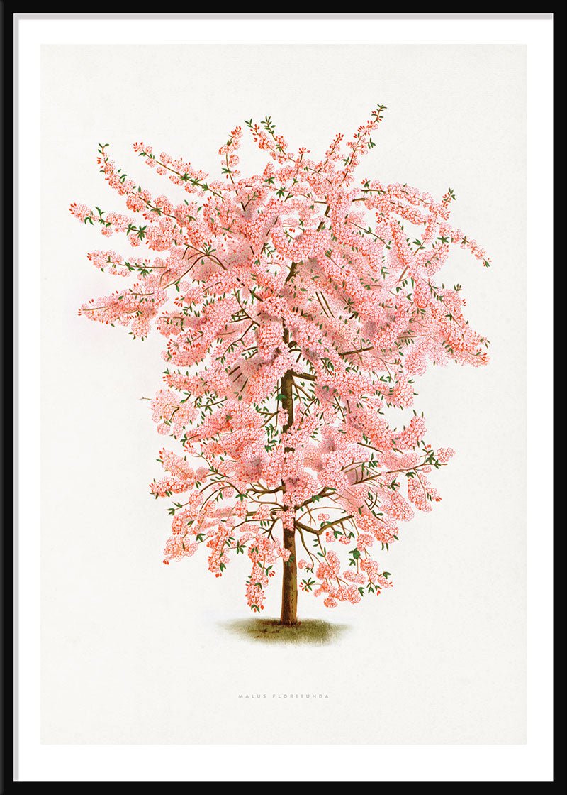 Pink Tree
