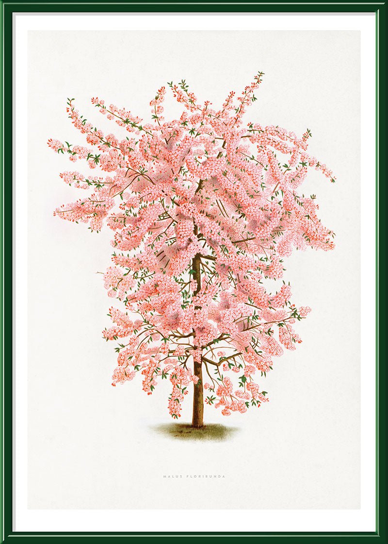 Pink Tree