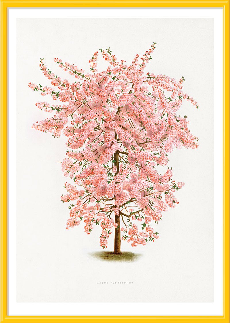Pink Tree