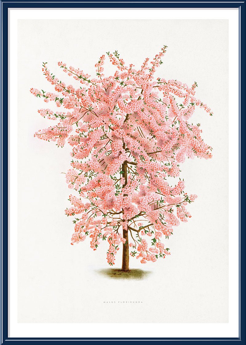 Pink Tree