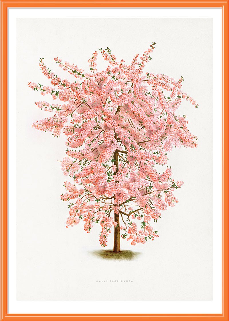 Pink Tree
