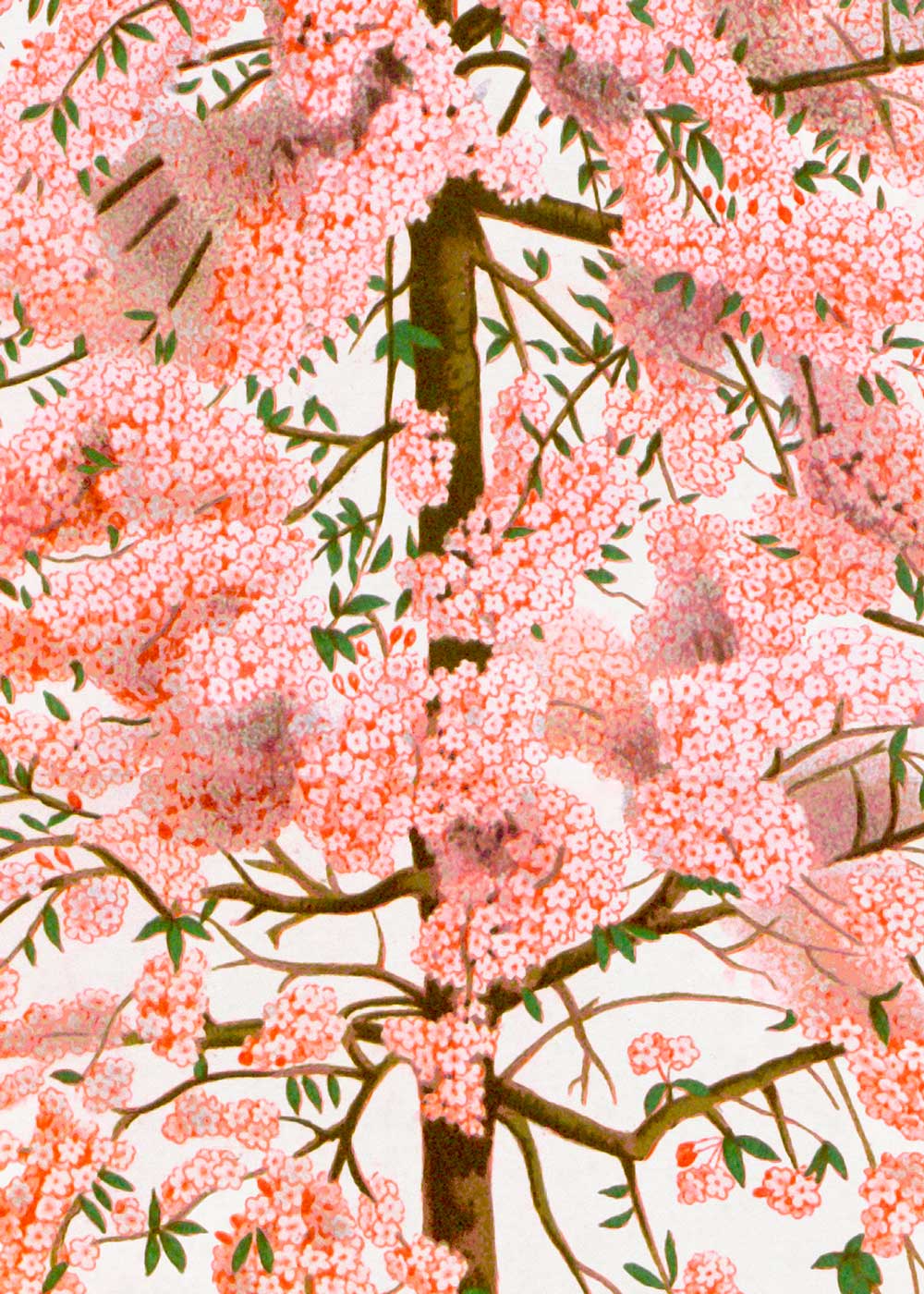 Pink Tree
