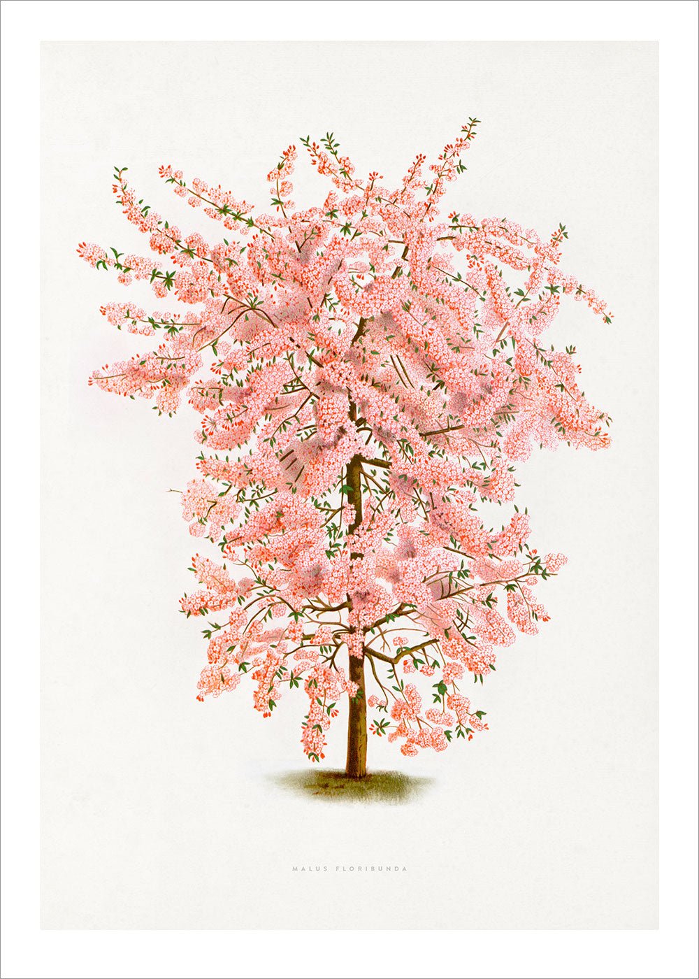 Pink Tree