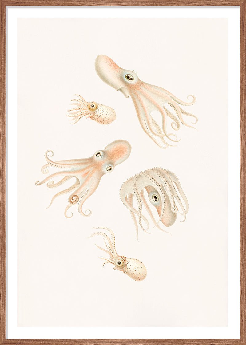 Soft Octopuses