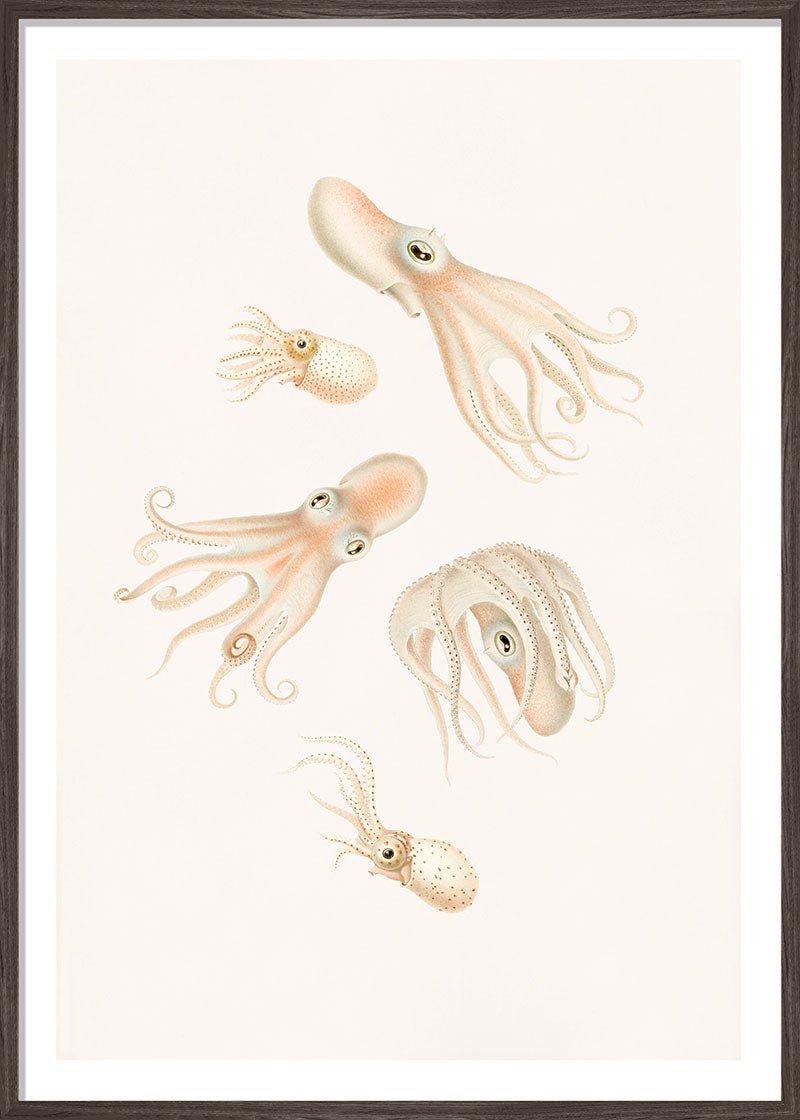 Soft Octopuses
