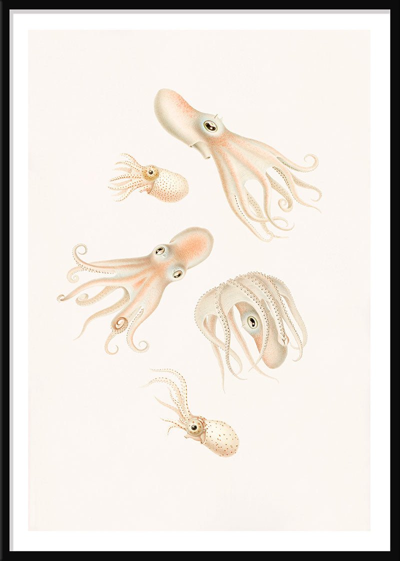 Soft Octopuses