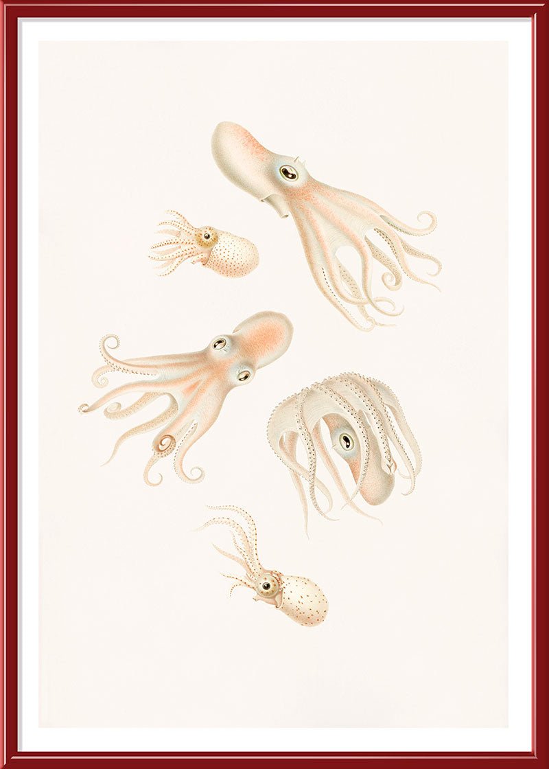 Soft Octopuses