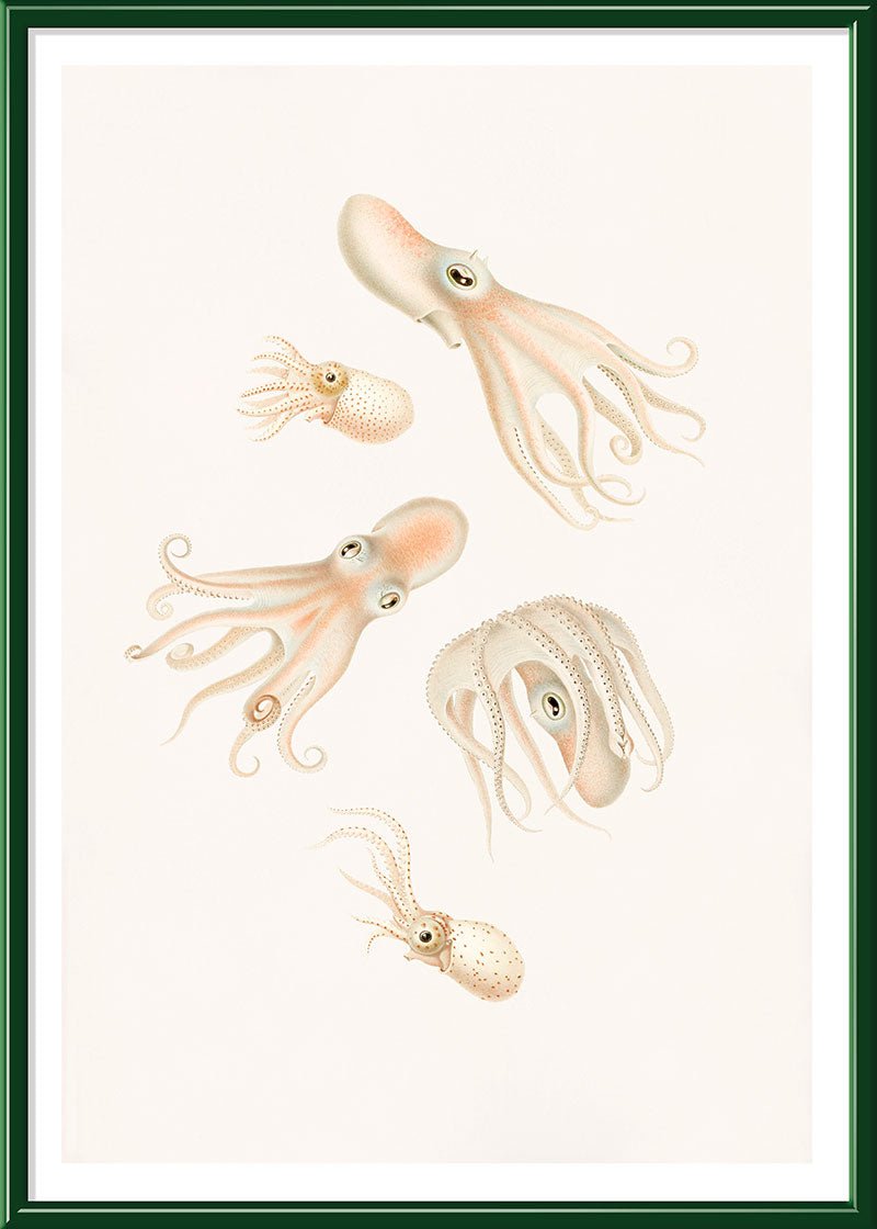 Soft Octopuses