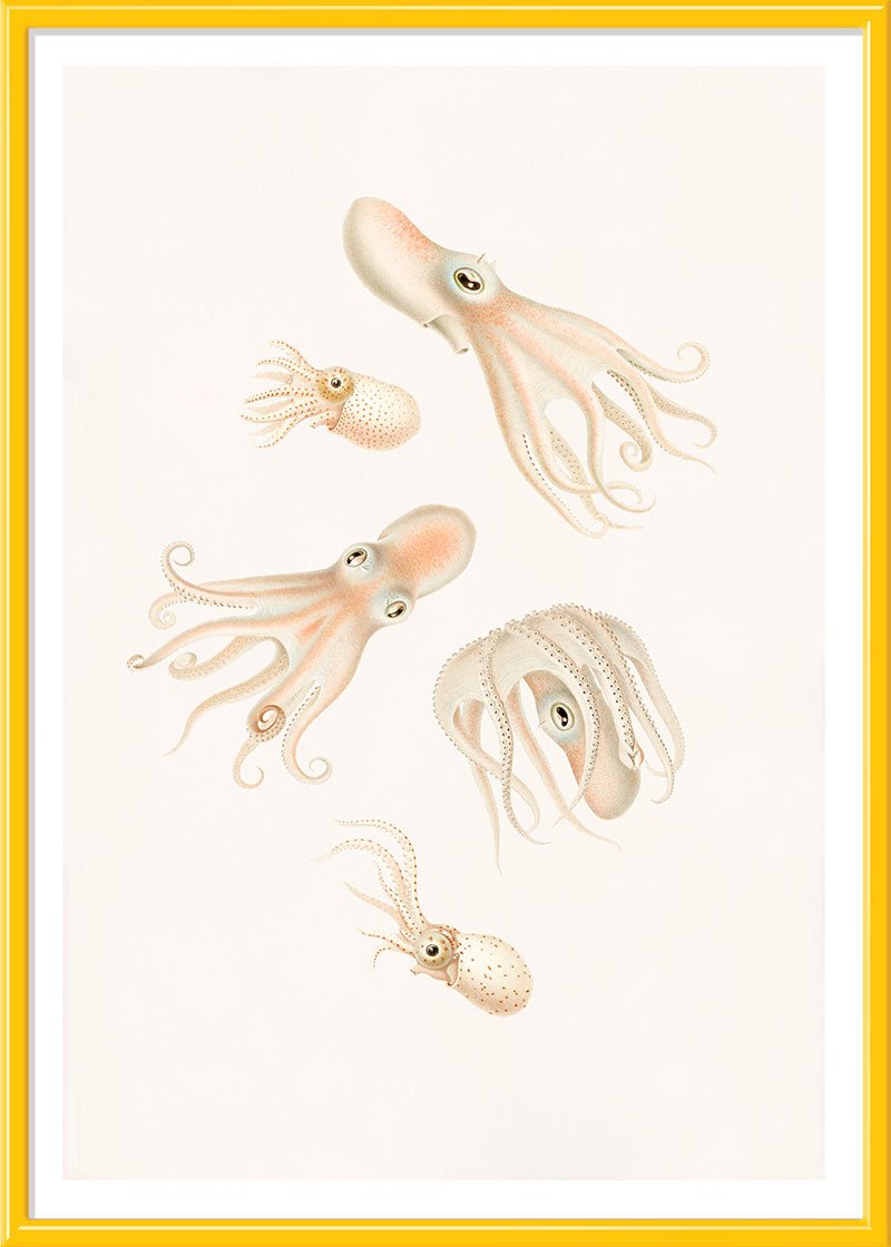 Soft Octopuses