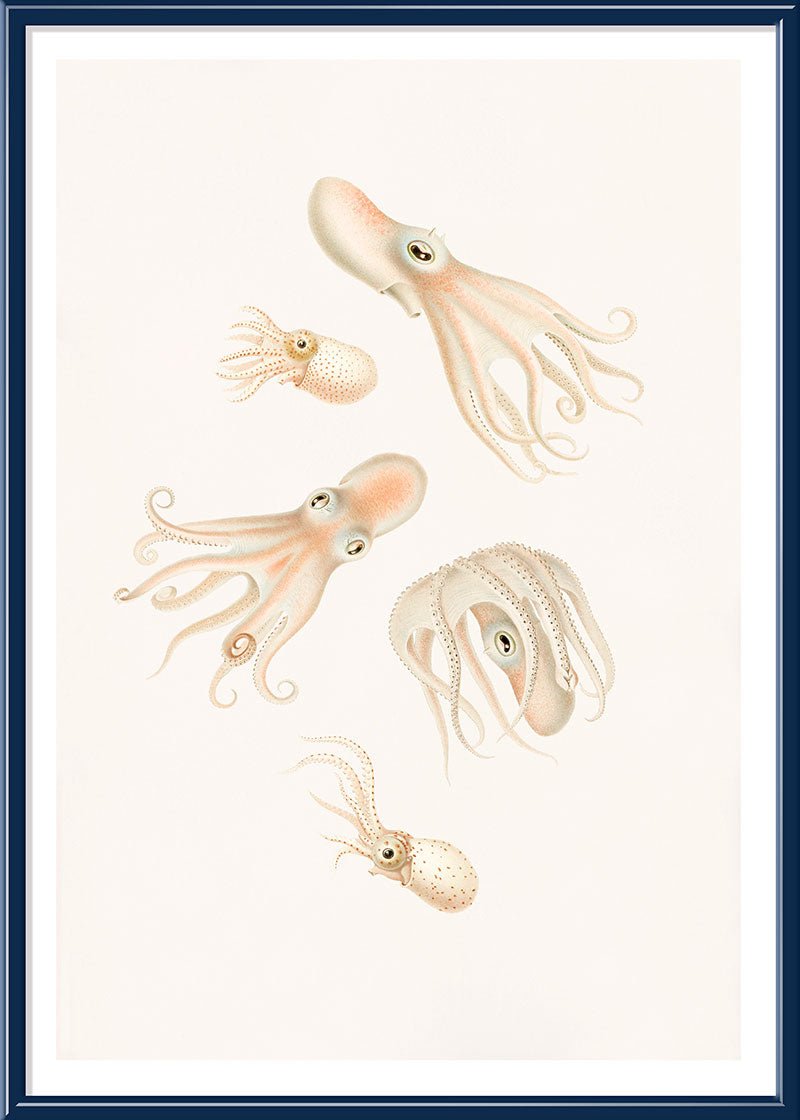 Soft Octopuses