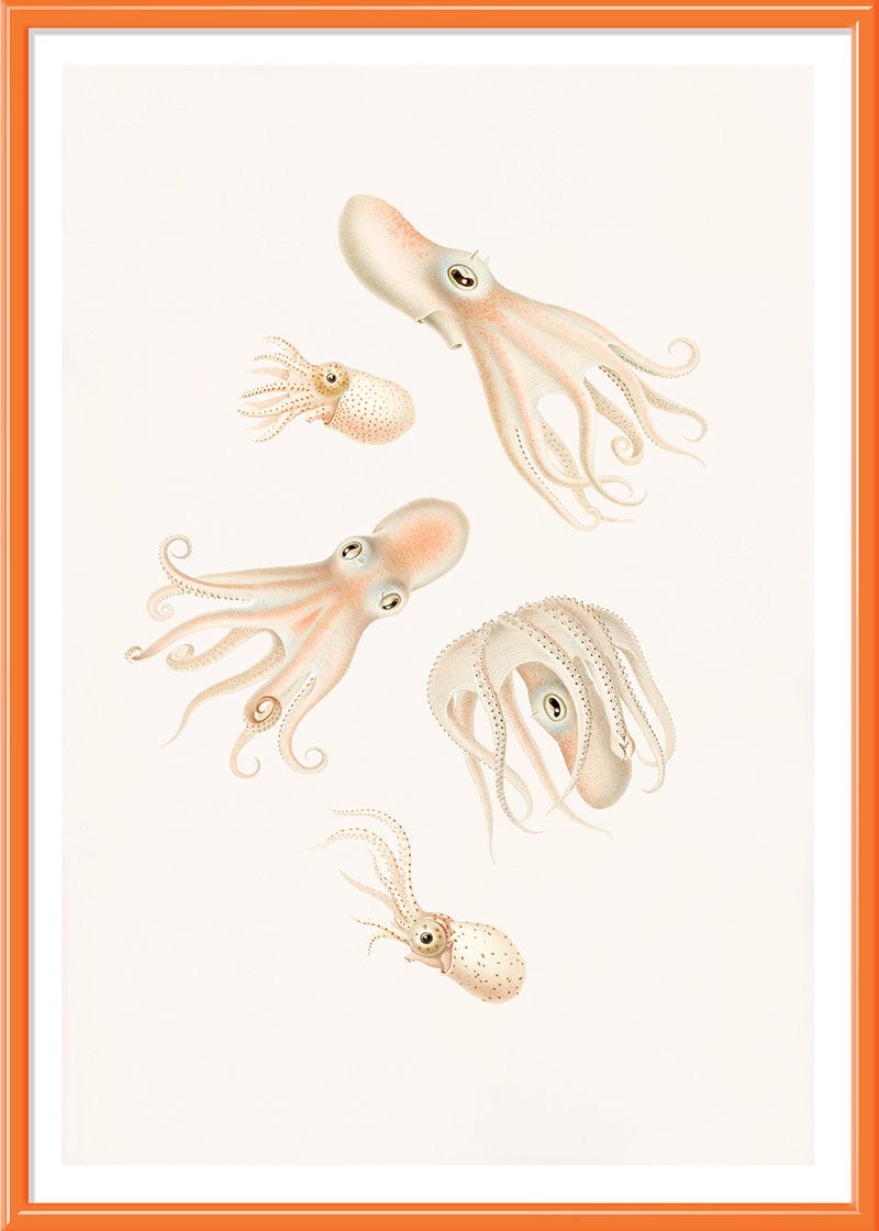 Soft Octopuses