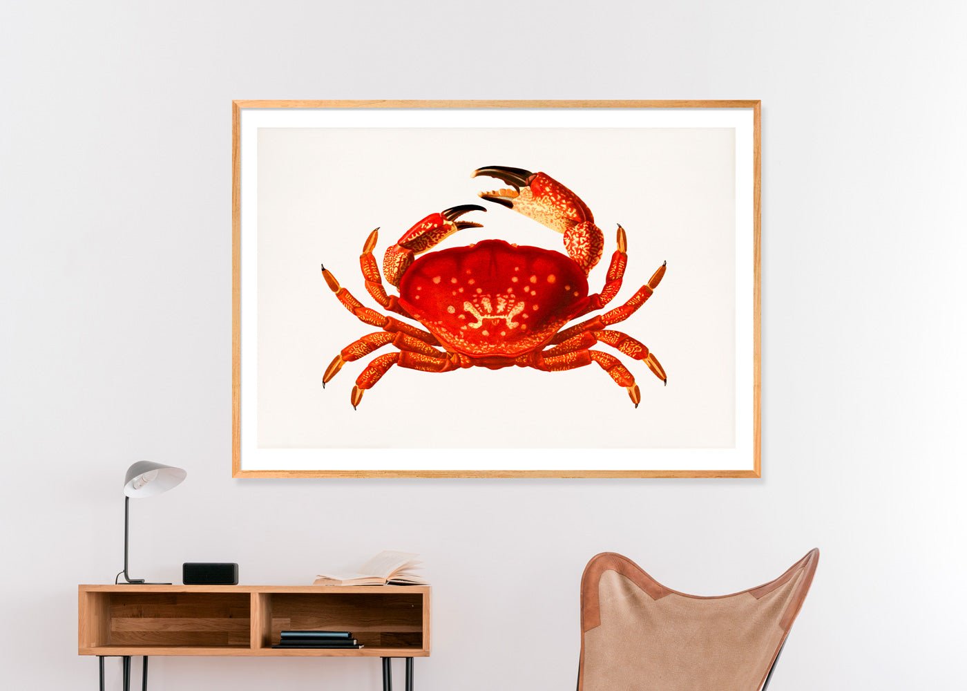 Orange Crab