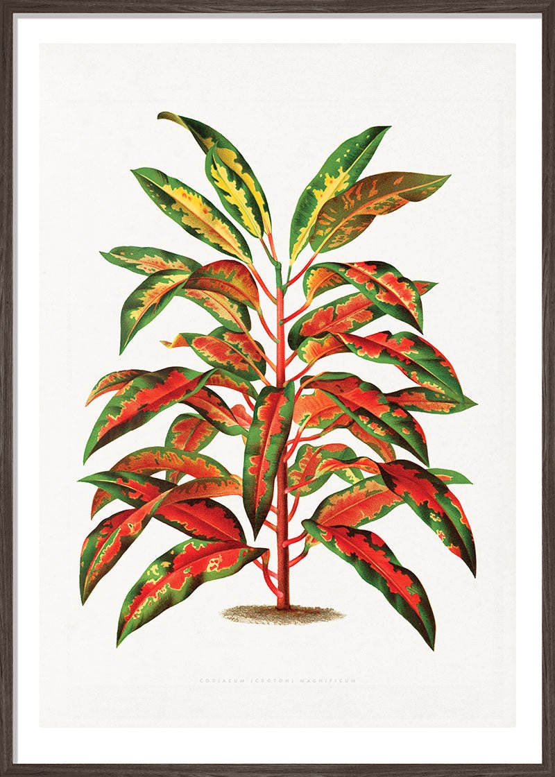 Bush on Fire