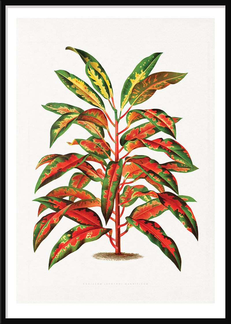 Bush on Fire