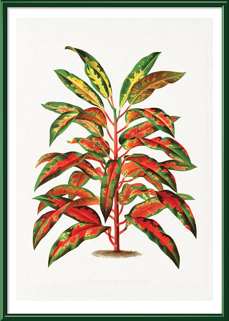 Bush on Fire