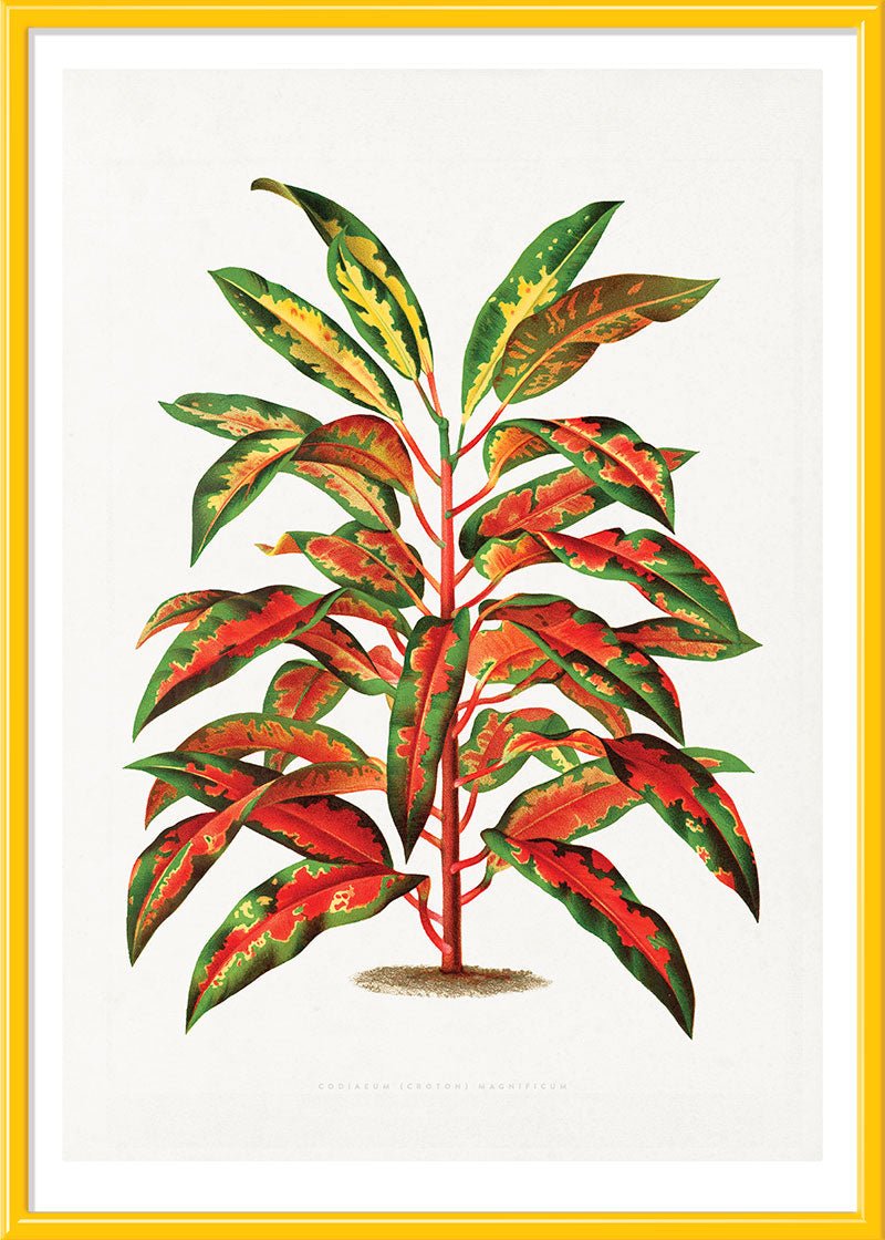 Bush on Fire
