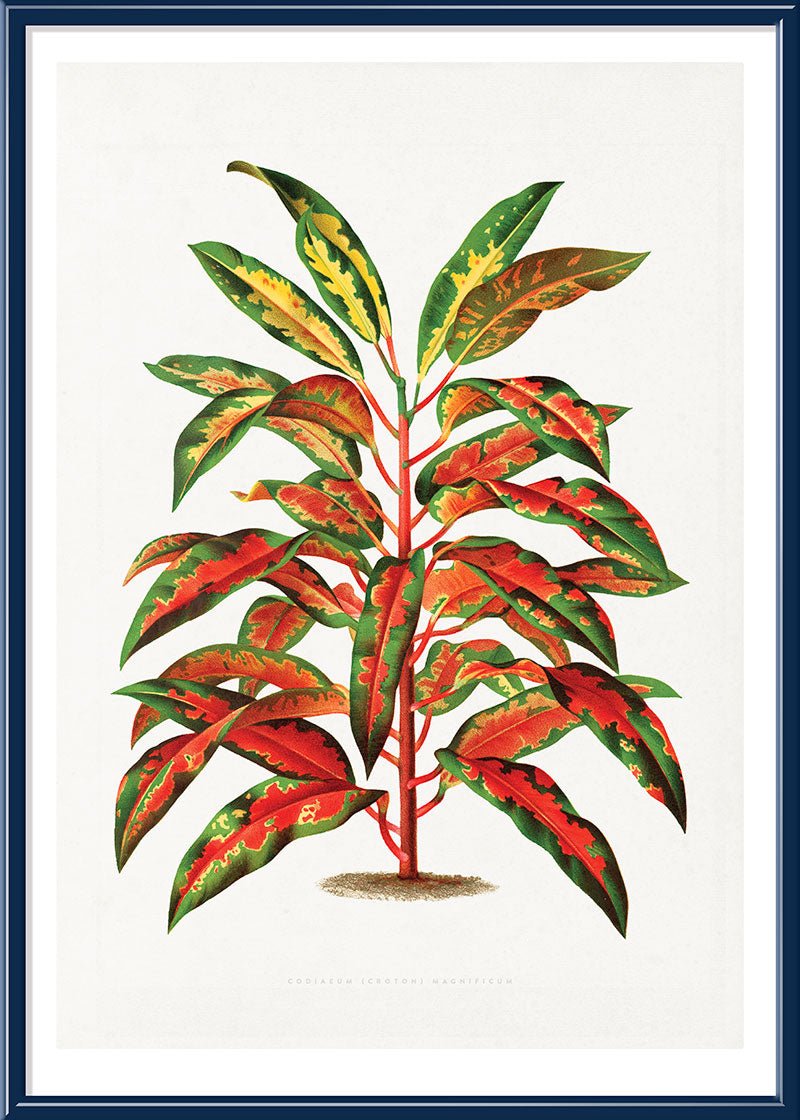 Bush on Fire