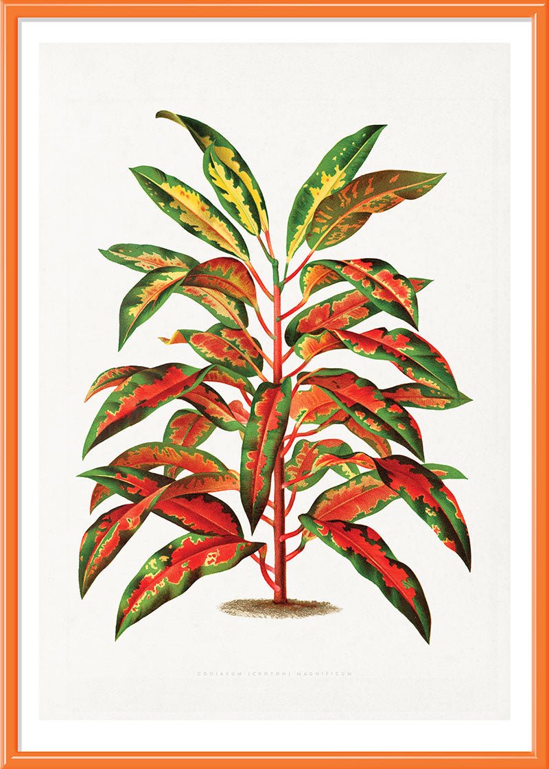 Bush on Fire