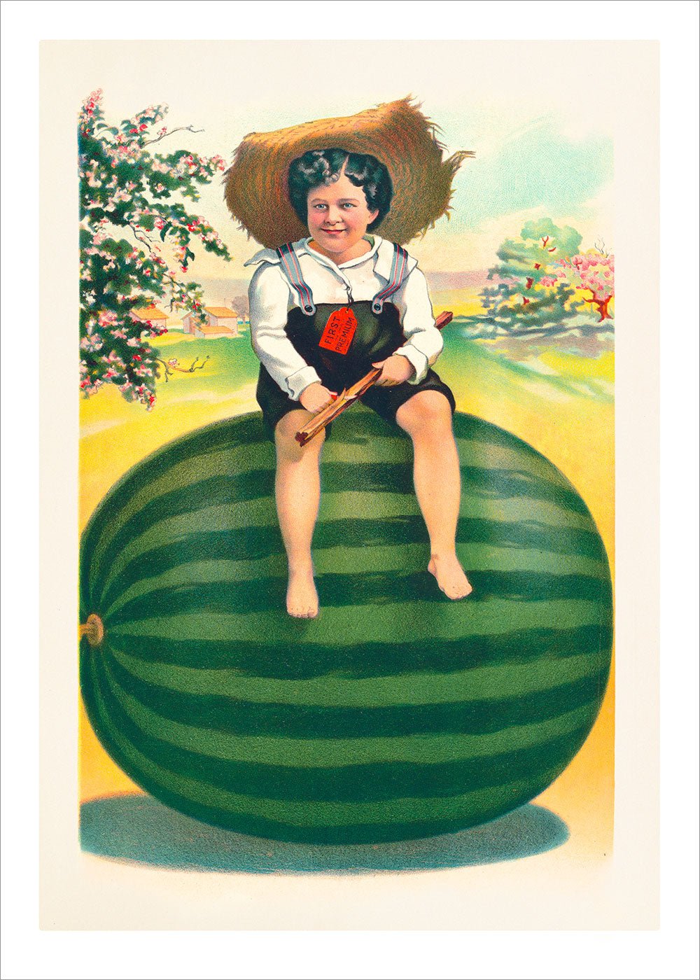 On the Watermelon