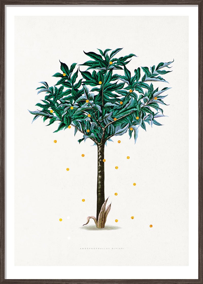 Gold Dots Stella Tree Paper