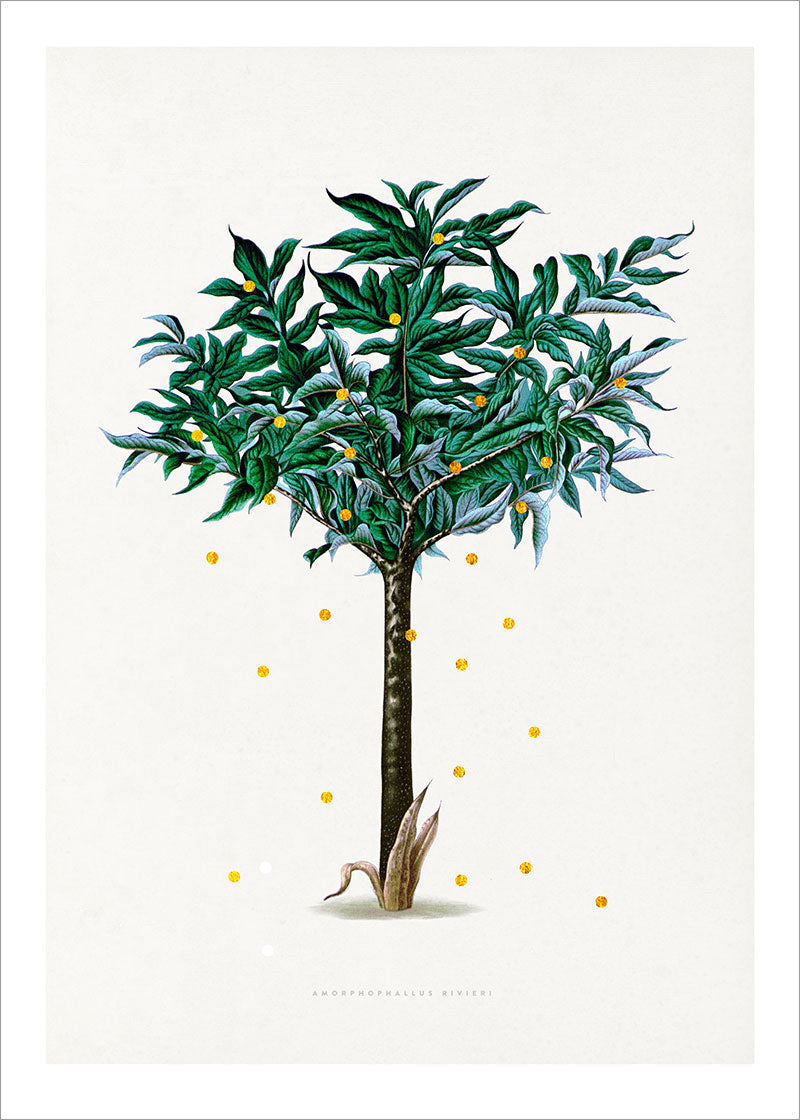 Gold Dots Stella Tree Paper