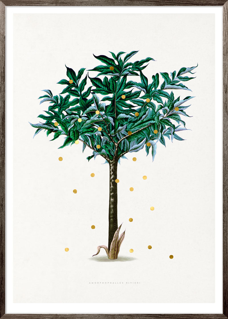 Gold Dots Stella Tree Paper