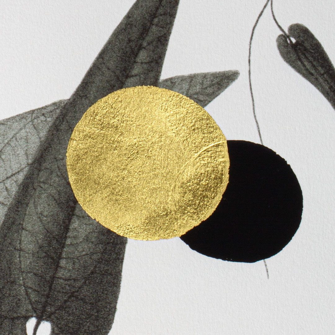 Gold and Superblack Dots Rumicifolia paper