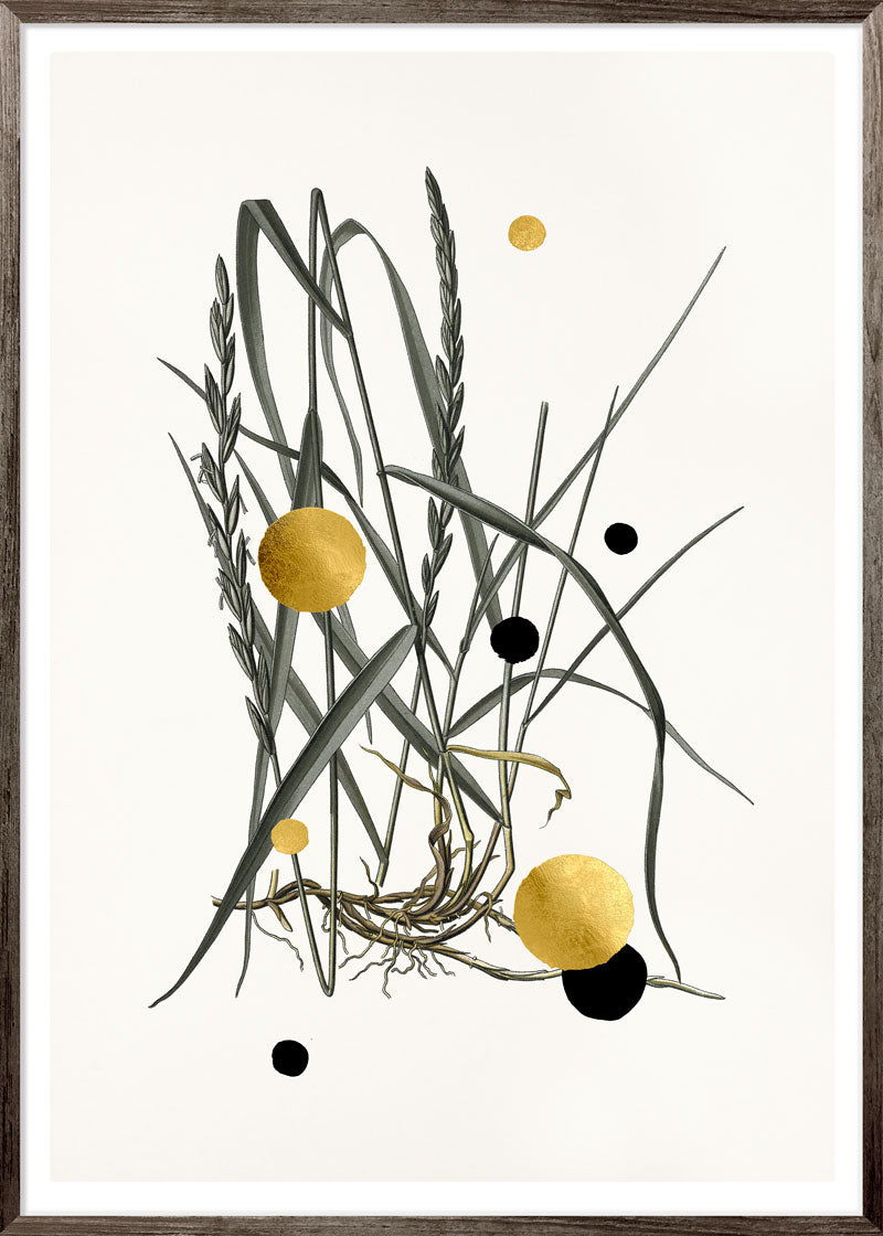 Gold and Superblack Dots Couch Grass Paper
