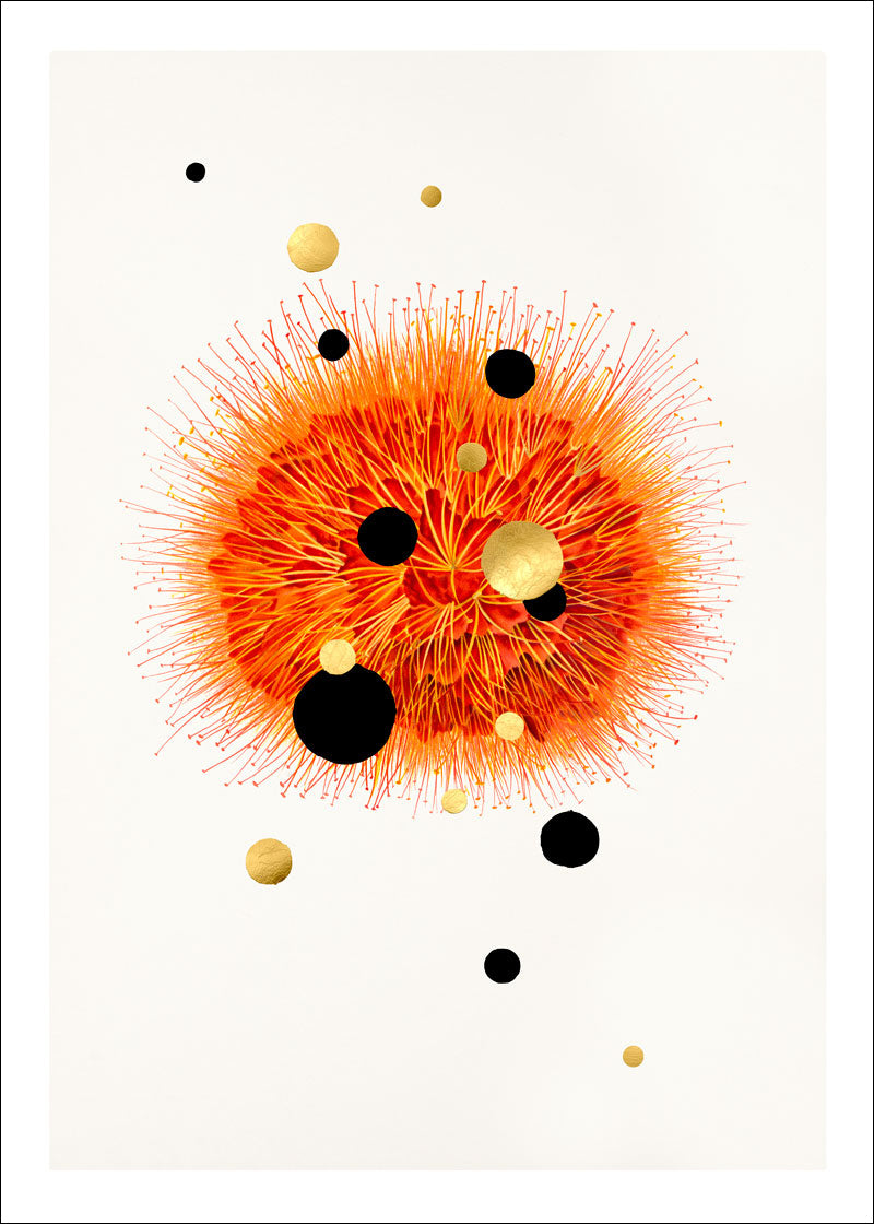 Galatic bloom paper