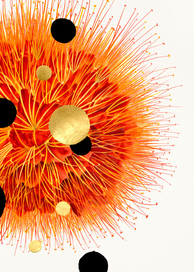 Galatic bloom paper