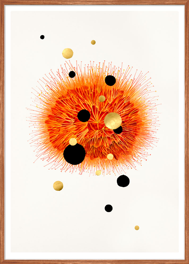 Galatic bloom paper