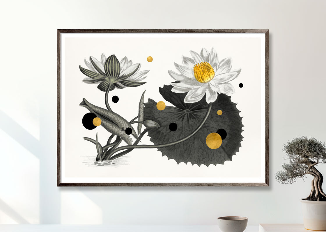 Lotus flower
