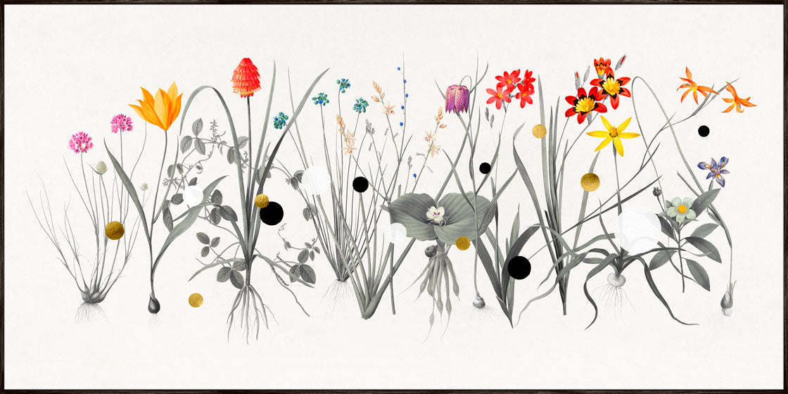 Gold Dots Tiger Lily Hover Frame