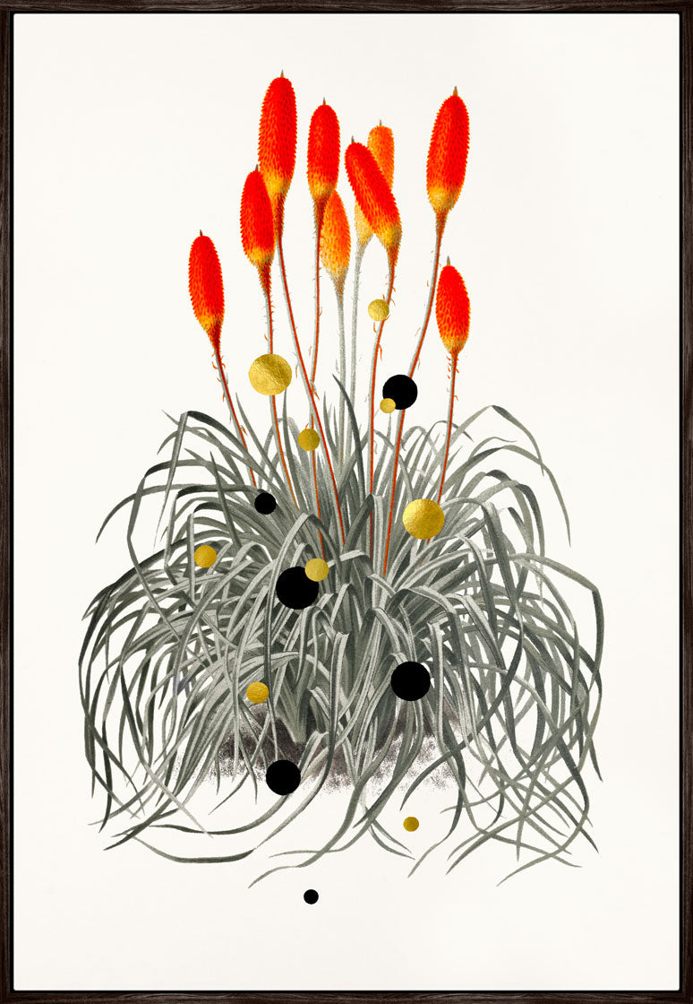 Gold Dots Tiger Lily Hover Frame