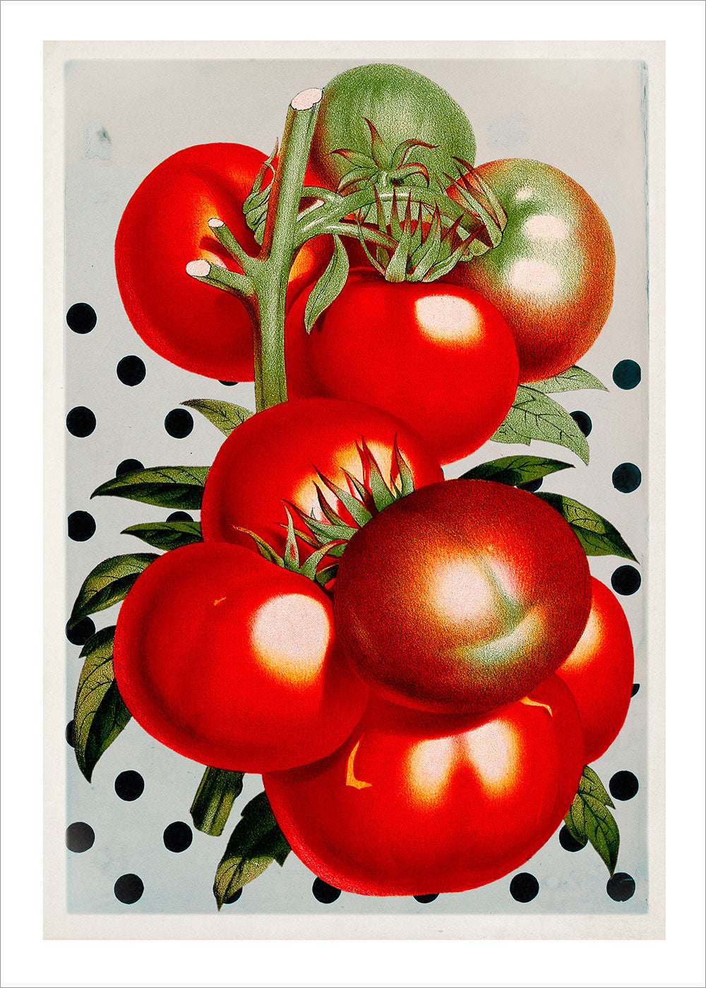 Juicy Tomato Polka Dots