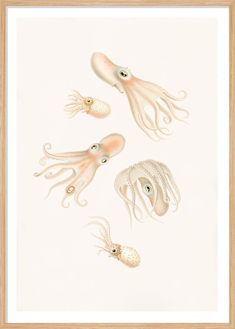 Soft Octopuses